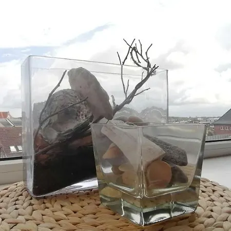 App-wilhelmine-haus-coop